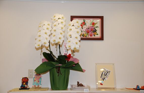 坂戸市にある歯医者では決して無理をしない小児歯科を行っております